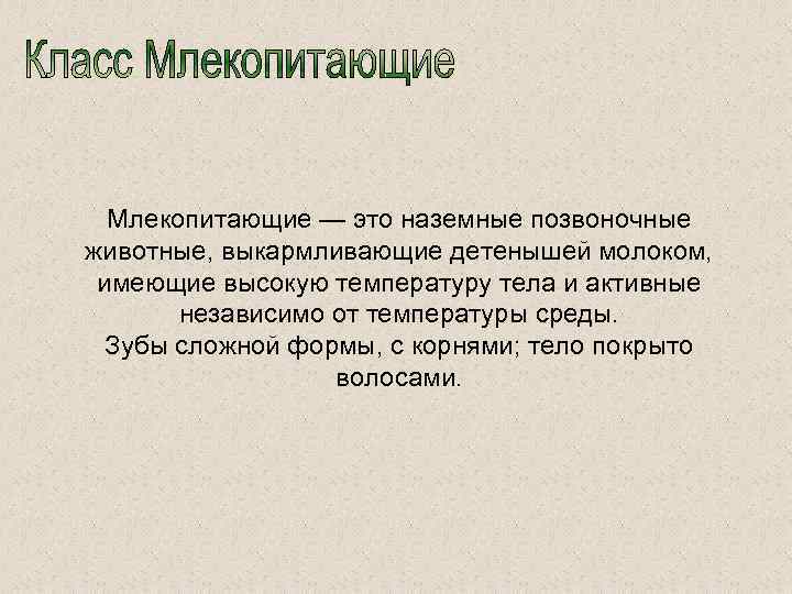 Млекопитающие — это наземные позвоночные животные, выкармливающие детенышей молоком, имеющие высокую температуру тела и