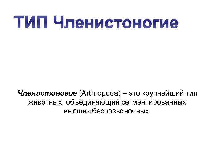 ТИП Членистоногие (Arthropoda) – это крупнейший тип животных, объединяющий сегментированных высших беспозвоночных. 