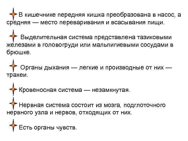  В кишечнике передняя кишка преобразована в насос, а средняя — место переваривания и