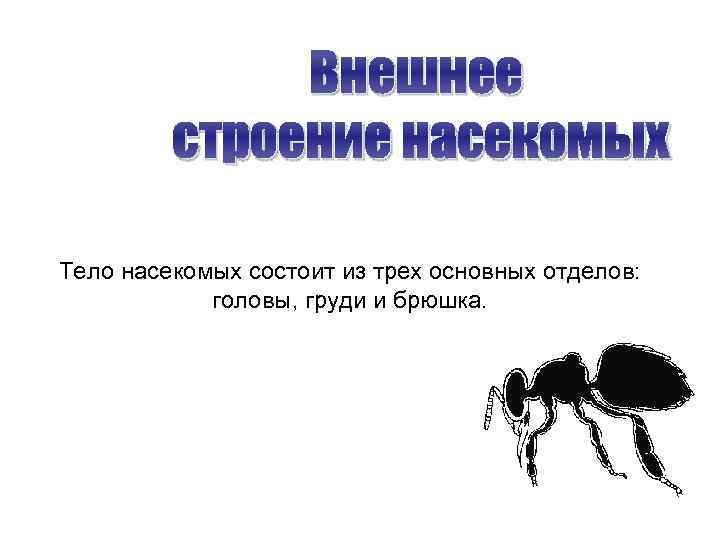  Внешнее строение насекомых Тело насекомых состоит из трех основных отделов: головы, груди и