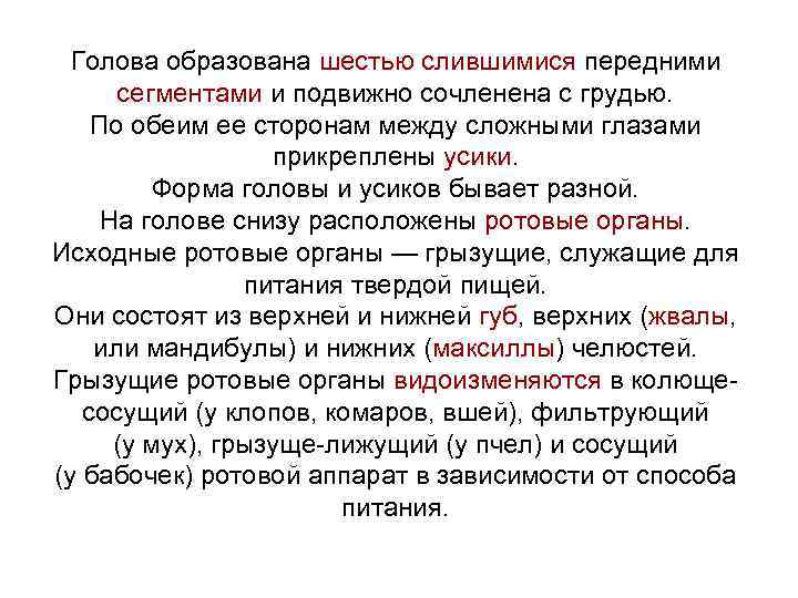  Голова образована шестью слившимися передними сегментами и подвижно сочленена с грудью. По обеим