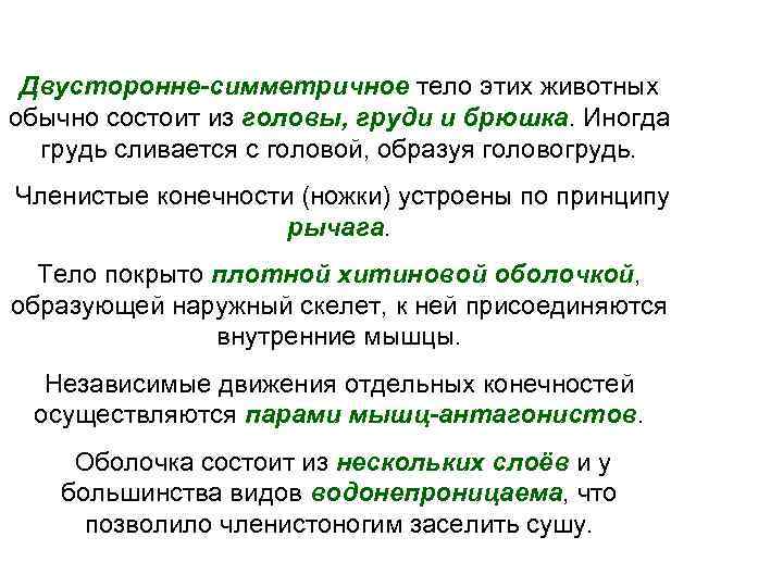  Двусторонне-симметричное тело этих животных обычно состоит из головы, груди и брюшка. Иногда грудь