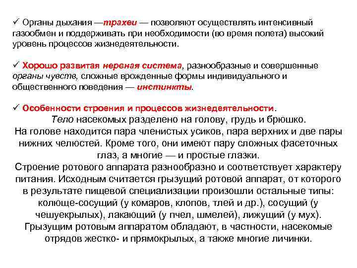 ü Органы дыхания —трахеи — позволяют осуществлять интенсивный газообмен и поддерживать при необходимости (во