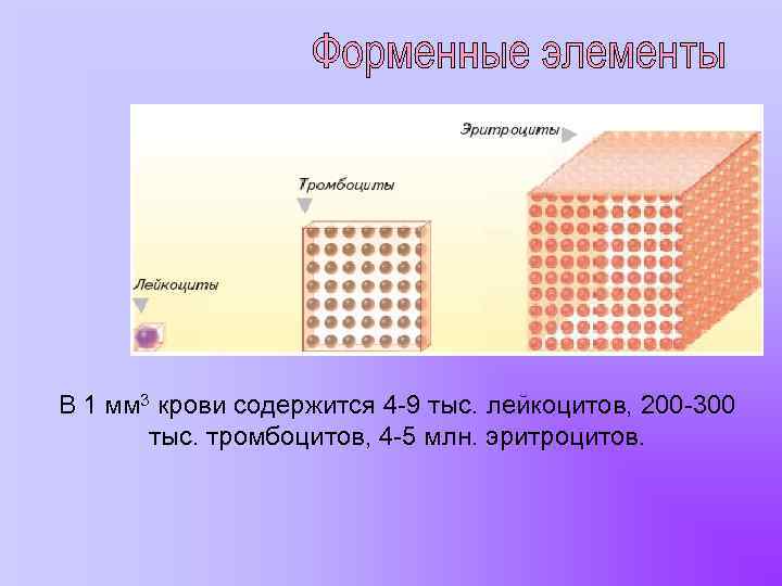 В 1 мм 3 крови содержится 4 -9 тыс. лейкоцитов, 200 -300 тыс. тромбоцитов,