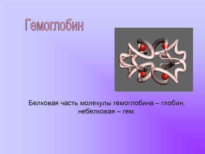 Белковая часть молекулы гемоглобина – глобин, небелковая – гем. 
