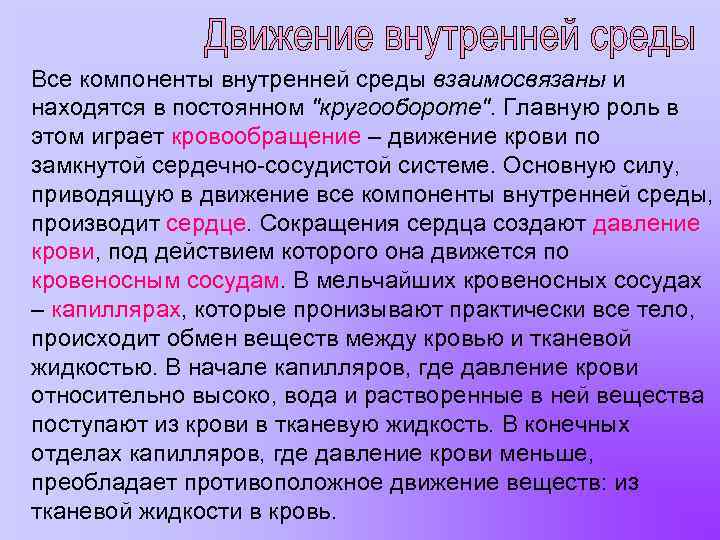 Все компоненты внутренней среды взаимосвязаны и находятся в постоянном "кругообороте". Главную роль в этом