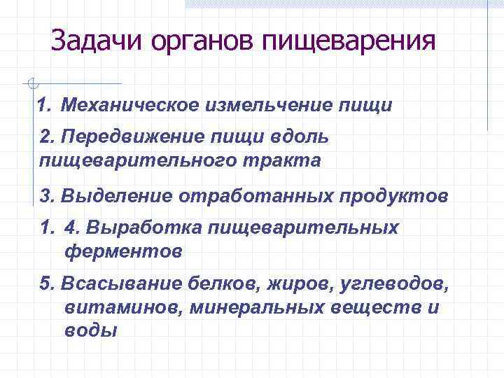 Задачи органов пищеварения 1. Механическое измельчение пищи 2. Передвижение пищи вдоль пищеварительного тракта 3.