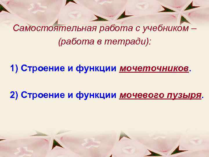 Самостоятельная работа с учебником – (работа в тетради): 1) Строение и функции мочеточников. 2)