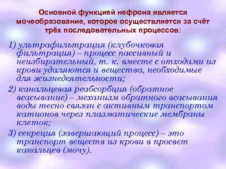 Основной функцией нефрона является мочеобразование, которое осуществляется за счёт трёх последовательных процессов: 1) ультрафильтрация