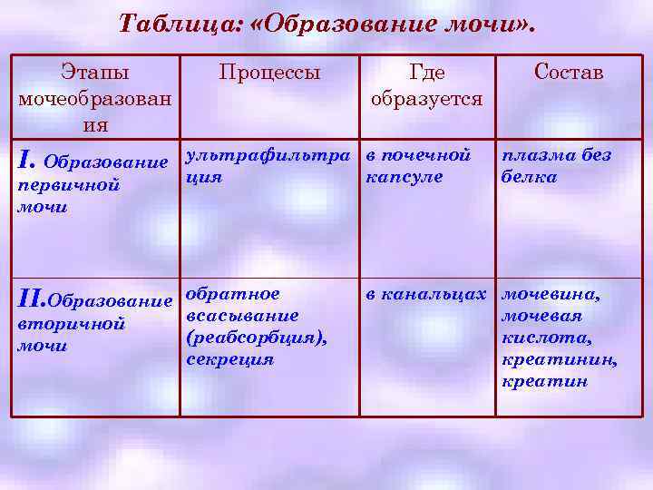 Таблица: «Образование мочи» . Этапы мочеобразован ия Процессы Где образуется I. Образование ультрафильтра в