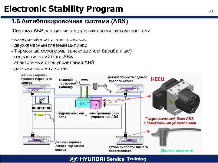 Electronic Stability Program 1. 6 Антиблокировочная система (ABS) Система ABS состоит из следующих основных