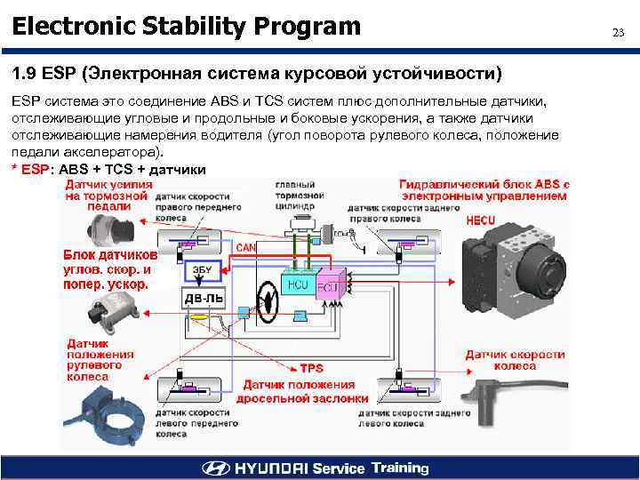 Electronic Stability Program 1. 9 ESP (Электронная система курсовой устойчивости) ESP система это соединение