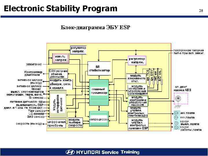 Electronic Stability Program Блок-диаграмма ЭБУ ESP 28 