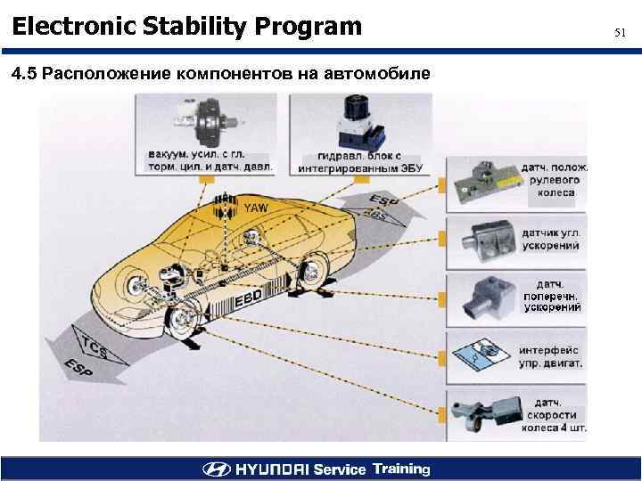 Electronic Stability Program 4. 5 Расположение компонентов на автомобиле 51 
