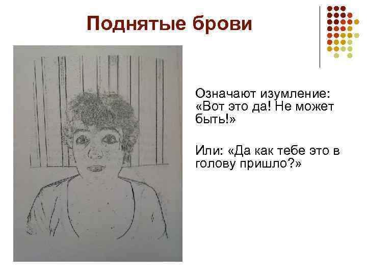 Поднятые брови Означают изумление: «Вот это да! Не может быть!» Или: «Да как тебе