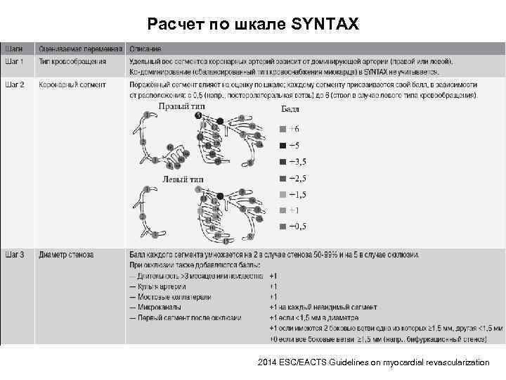 Расчет по шкале SYNTAX 2014 ESC/EACTS Guidelines on myocardial revascularization 