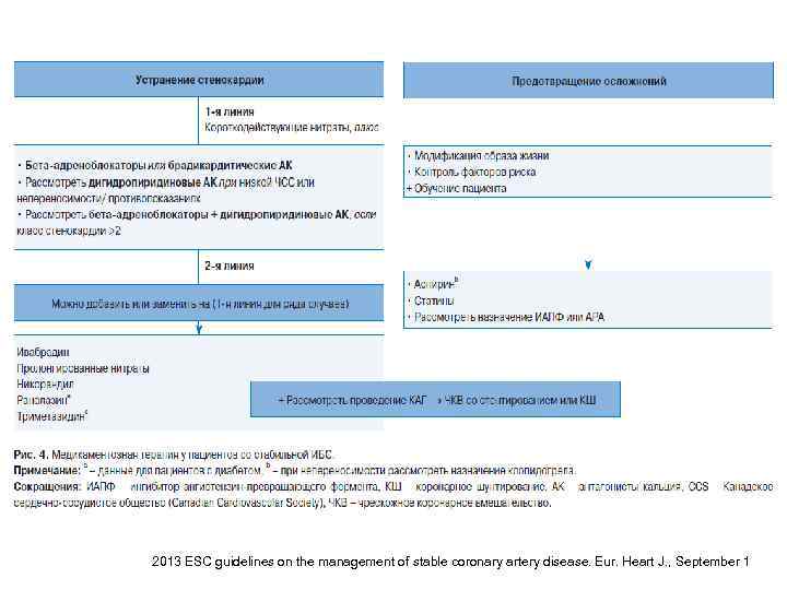 2013 ESC guidelines on the management of stable coronary artery disease. Eur. Heart J.