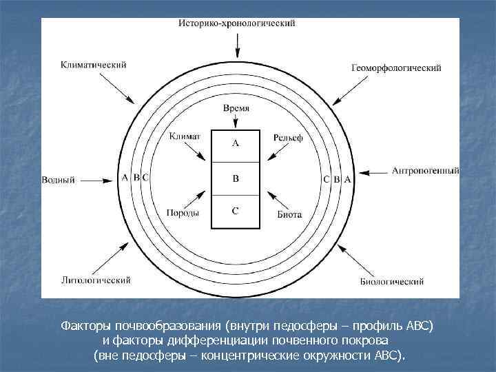 Факторы почвообразования (внутри педосферы – профиль АВС) и факторы дифференциации почвенного покрова (вне педосферы