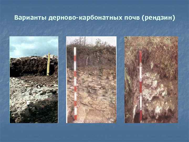 Варианты дерново-карбонатных почв (рендзин) 