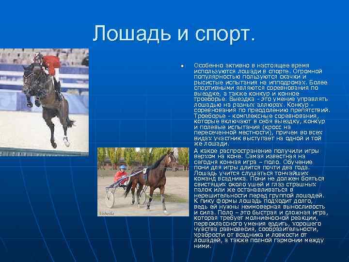 Особенно конь. Использование лошади человеком. Как человек использует лошадь. Сноровка для лошади. Лошадь лошадь.