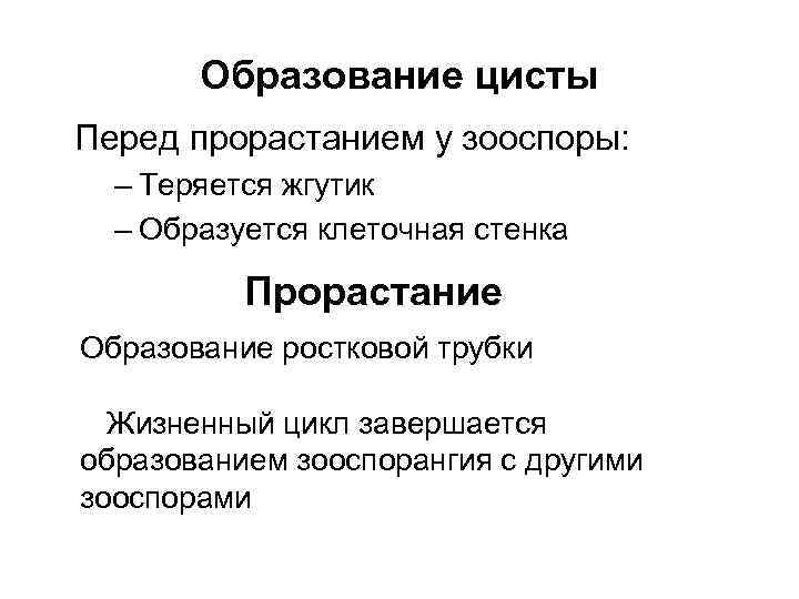 Образование цисты Перед прорастанием у зооспоры: – Теряется жгутик – Образуется клеточная стенка Прорастание