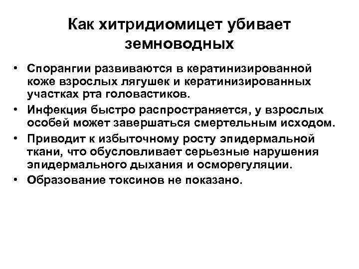 Как хитридиомицет убивает земноводных • Спорангии развиваются в кератинизированной коже взрослых лягушек и кератинизированных