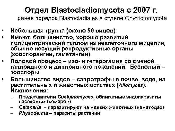 Отдел Blastocladiomycota с 2007 г. ранее порядок Blastocladiales в отделе Chytridiomycota • • Небольшая