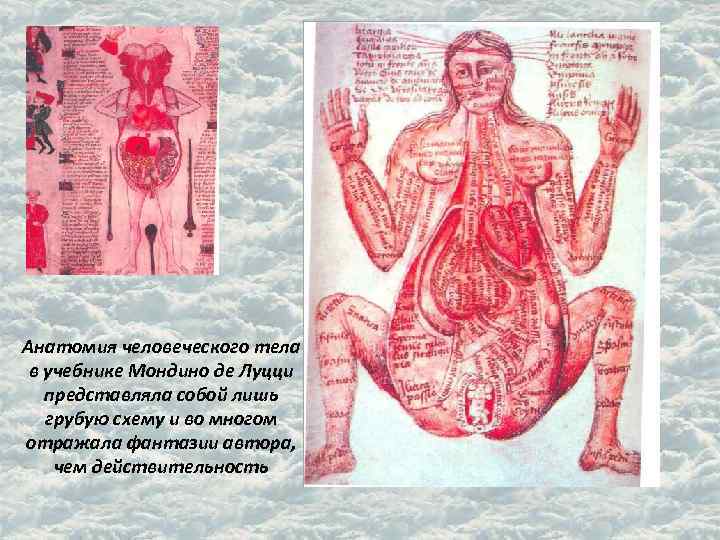 Анатомия человеческого тела в учебнике Мондино де Луцци представляла собой лишь грубую схему и