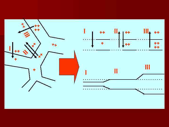 ++ III ++ II + ++ ++ III + + I II ++ ++