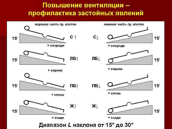 Повышение вентиляции – профилактика застойных явлений верхняя часть гр. клетки С↑ 15’ нижняя часть