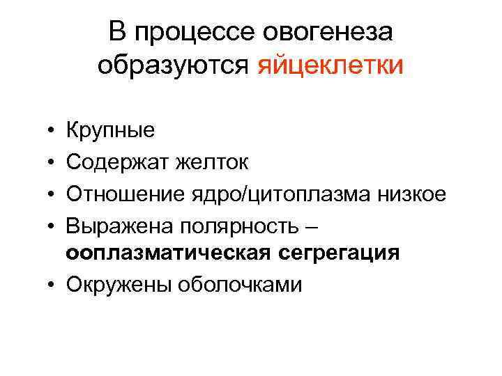 В процессе овогенеза образуются яйцеклетки • • Крупные Содержат желток Отношение ядро/цитоплазма низкое Выражена