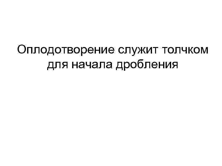 Оплодотворение служит толчком для начала дробления 