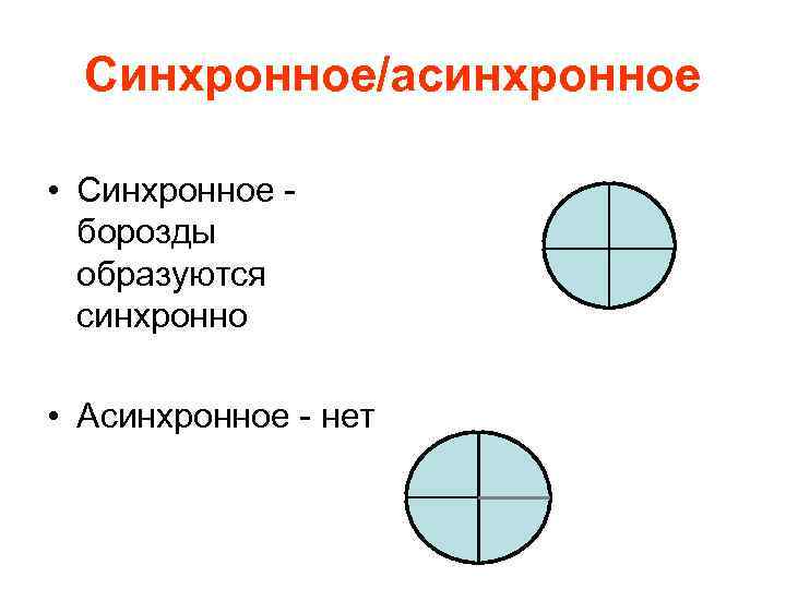 Синхронное/асинхронное • Синхронное борозды образуются синхронно • Асинхронное - нет 