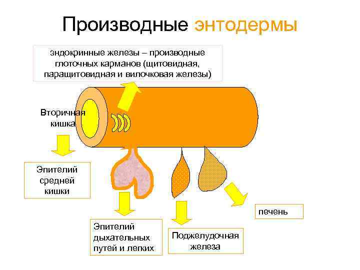 Производные железа