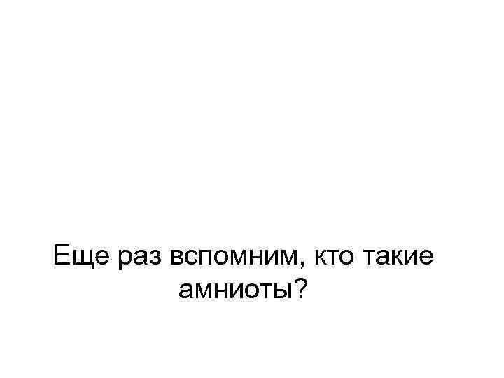 Еще раз вспомним, кто такие амниоты? 