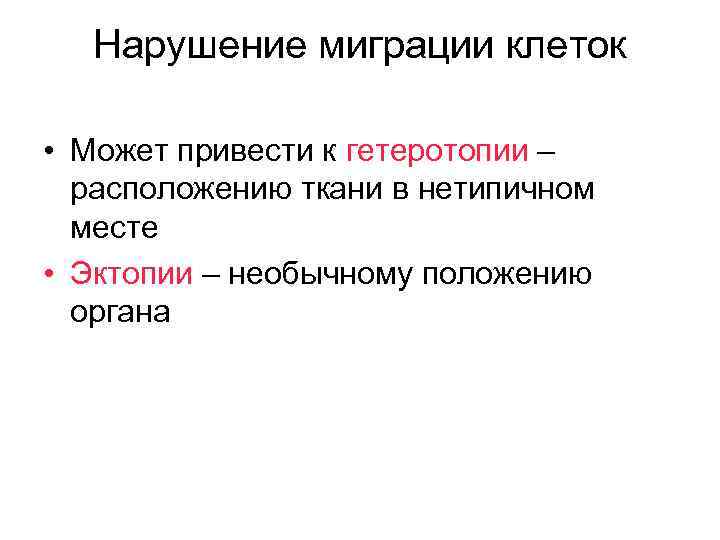 Нарушение миграции клеток • Может привести к гетеротопии – расположению ткани в нетипичном месте