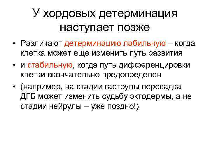 У хордовых детерминация наступает позже • Различают детерминацию лабильную – когда клетка может еще