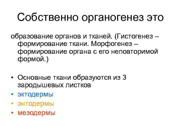 Собственно органогенез это образование органов и тканей. (Гистогенез – формирование ткани. Морфогенез – формирование