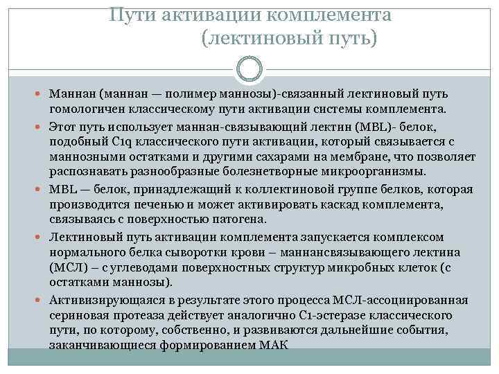 Пути активации комплемента (лектиновый путь) Маннан (маннан — полимер маннозы) связанный лектиновый путь гомологичен