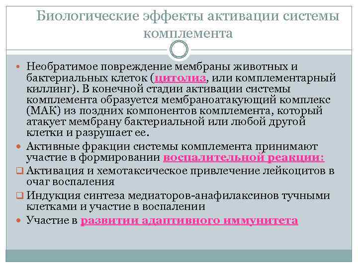 Биологические эффекты активации системы комплемента • Необратимое повреждение мембраны животных и бактериальных клеток (цитолиз,