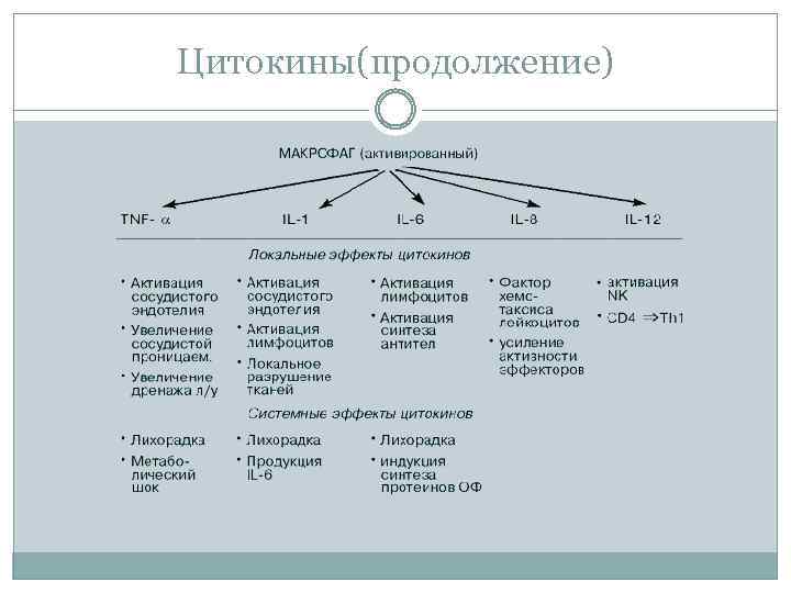 Цитокины(продолжение) 