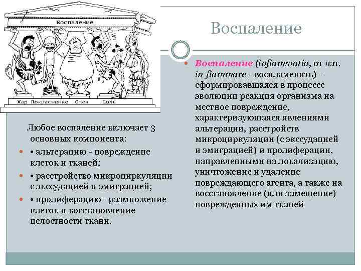 Воспаление (inflammatio, от лат. Любое воспаление включает 3 основных компонента: • альтерацию повреждение клеток
