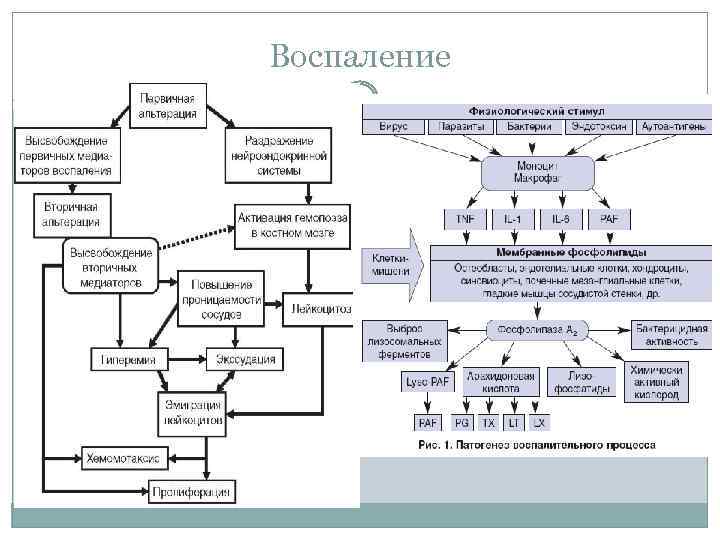 Воспаление 