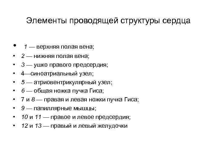 Элементы проводящей структуры сердца • • • 1 — верхняя полая вена; 2 —