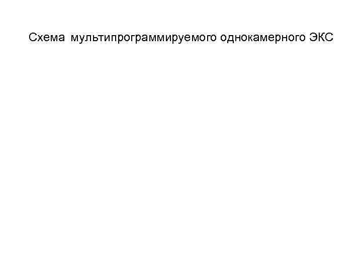 Схема мультипрограммируемого однокамерного ЭКС 