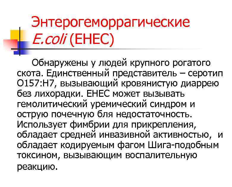 Энтерогеморрагические E. coli (EHEC) Обнаружены у людей крупного рогатого скота. Единственный представитель – серотип