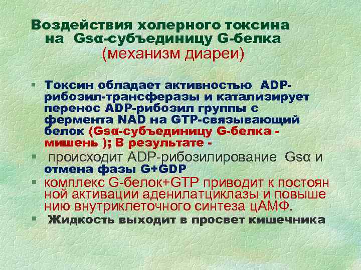 Воздействия холерного токсина на Gsα-субъединицу G-белка (механизм диареи) § Токсин обладает активностью ADPрибозил-трансферазы и