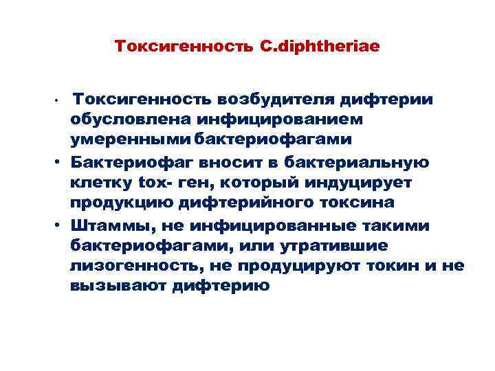 Токсигенность C. diphtheriae Токсигенность возбудителя дифтерии обусловлена инфицированием умеренными бактериофагами • Бактериофаг вносит в