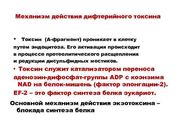 Механизм действия дифтерийного токсина • Токсин (А-фрагмент) проникает в клетку путем эндоцитоза. Его активация
