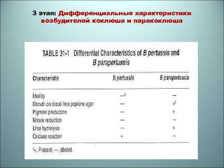 3 этап: Дифференциальные характеристики возбудителей коклюша и паракоклюша 